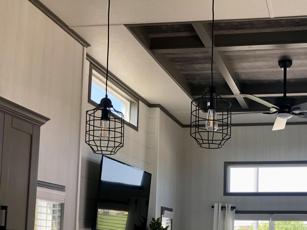 LIGHT FIXTURE - OPTIONAL - Pendent Lighting: Black Cage (each)