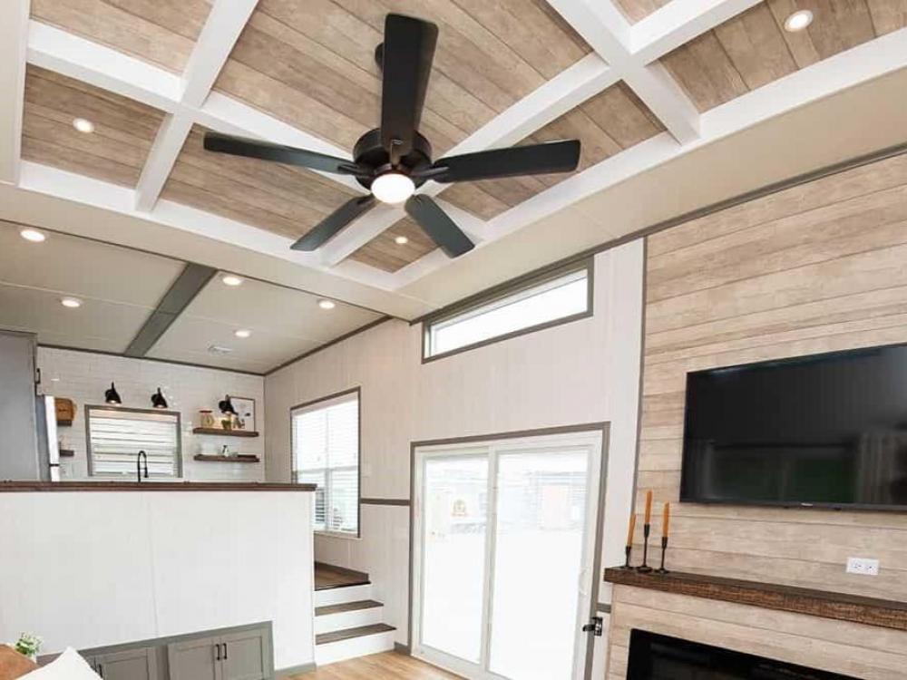 TRAY CEILING - WHITE with Tan Accent Panel