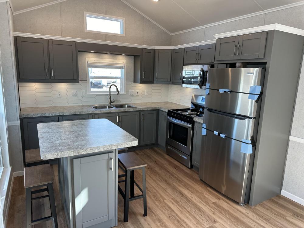 GRAY with WHITE CROWN