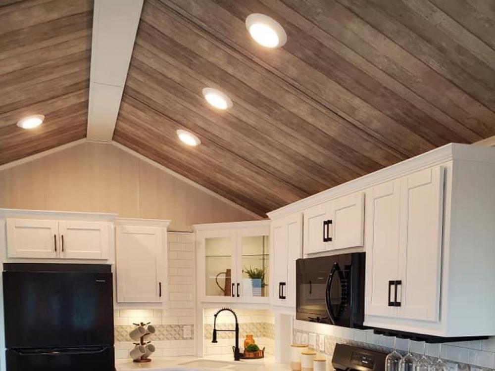 ACCENT CEILING - Knot Paradise