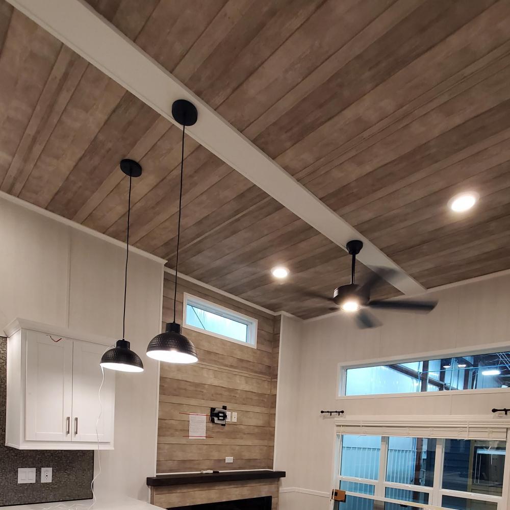   ACCENT CEILING PANELS