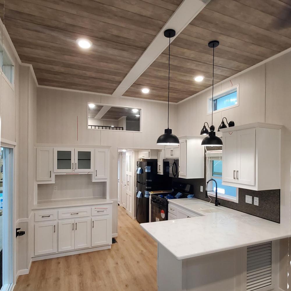 ACCENT CEILING - Knot Paradise